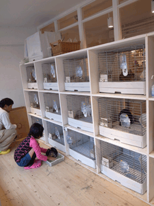 110927-1.gif