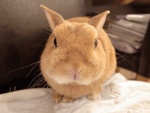 110927.gif