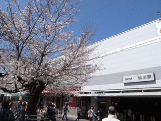 130405.gif